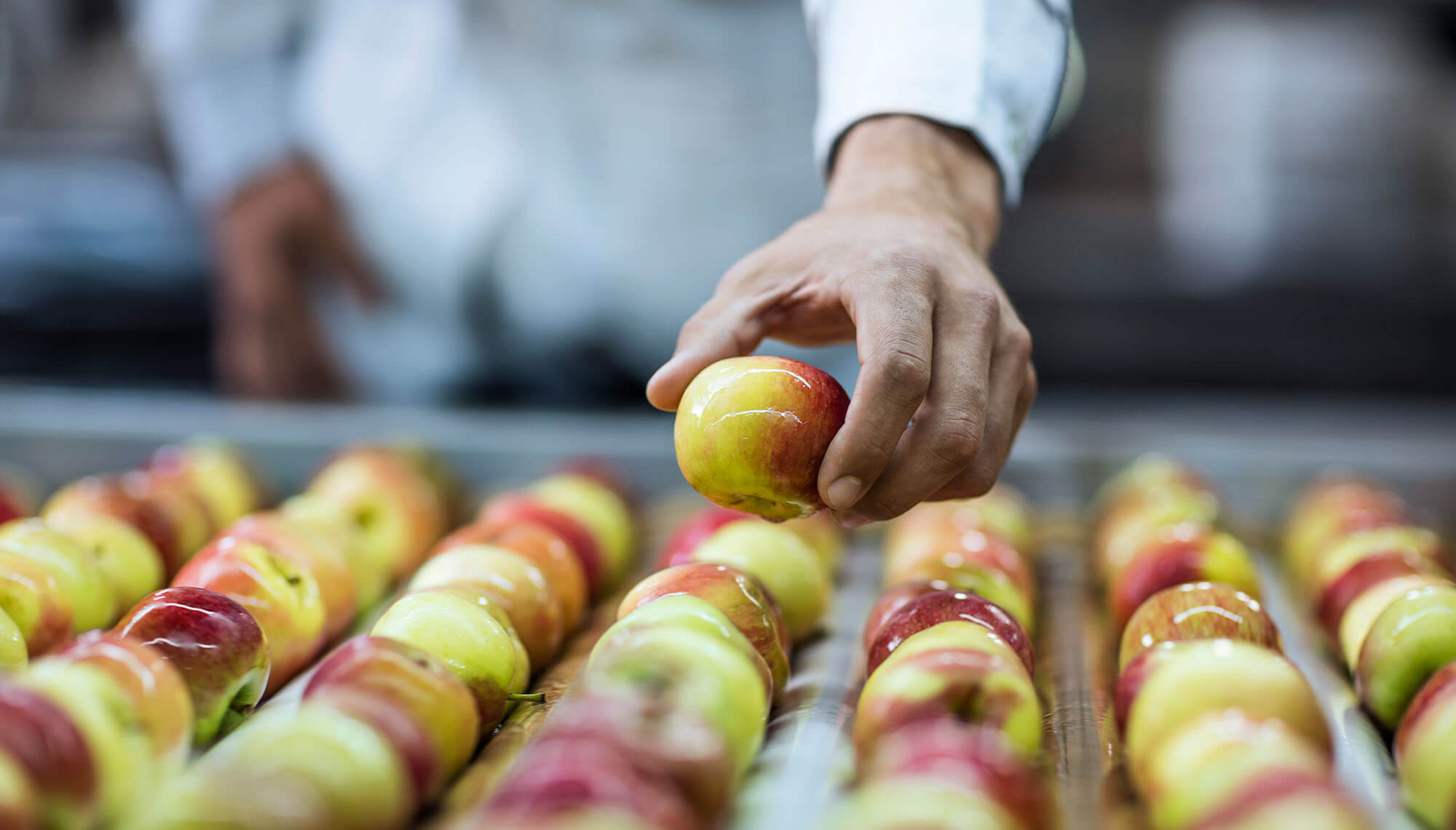 Experte untersucht Obst